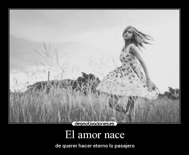 El amor nace - de querer hacer eterno lo pasajero