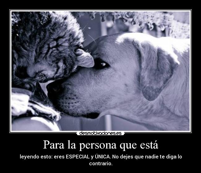 Para la persona que está - leyendo esto: eres ESPECIAL y ÚNICA. No dejes que nadie te diga lo contrario.