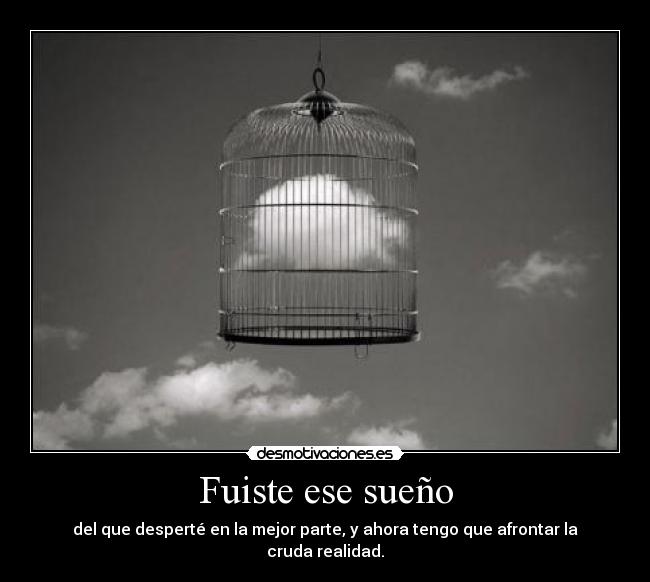 carteles fuiste ese sueno desmotivaciones