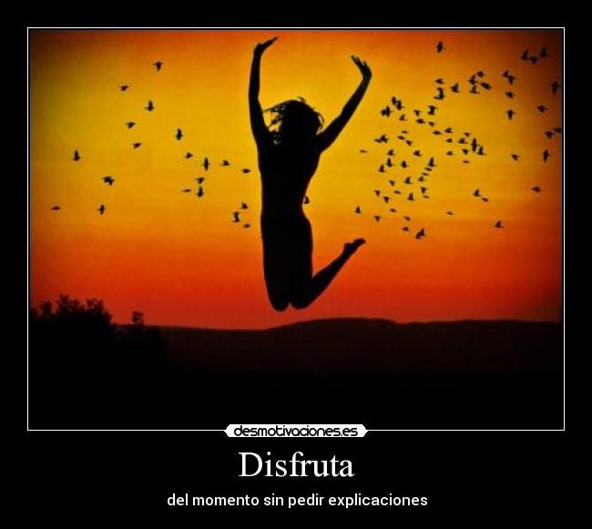 Disfruta - del momento sin pedir explicaciones
