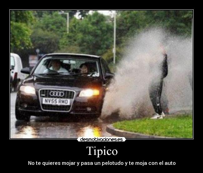 Tipico -