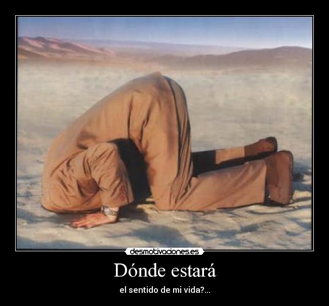 carteles direccion desmotivaciones