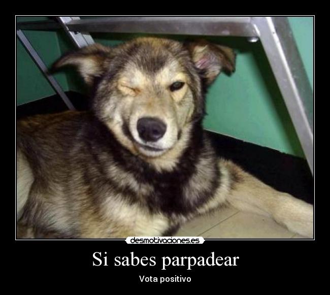 Si sabes parpadear - 