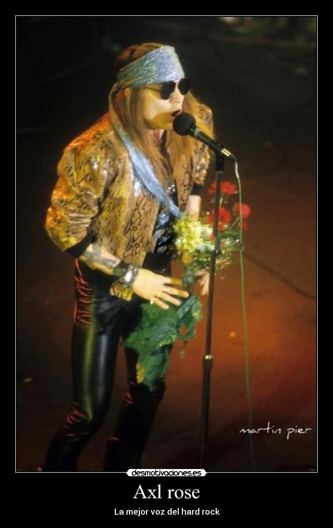 Axl rose -