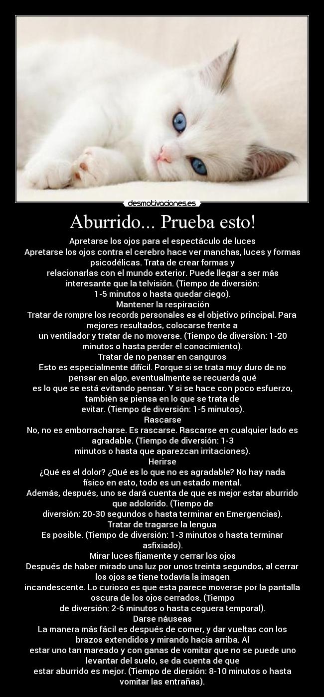 Aburrido... Prueba esto! - Apretarse los ojos para el espectáculo de luces
Apretarse los ojos contra el cerebro hace ver manchas, luces y formas
psicodélicas. Trata de crear formas y
relacionarlas con el mundo exterior. Puede llegar a ser más
interesante que la telvisión. (Tiempo de diversión:
1-5 minutos o hasta quedar ciego).
Mantener la respiración
Tratar de rompre los records personales es el objetivo principal. Para
mejores resultados, colocarse frente a
un ventilador y tratar de no moverse. (Tiempo de diversión: 1-20
minutos o hasta perder el conocimiento).
Tratar de no pensar en canguros
Esto es especialmente difícil. Porque si se trata muy duro de no
pensar en algo, eventualmente se recuerda qué
es lo que se está evitando pensar. Y si se hace con poco esfuerzo,
también se piensa en lo que se trata de
evitar. (Tiempo de diversión: 1-5 minutos).
Rascarse
No, no es emborracharse. Es rascarse. Rascarse en cualquier lado es
agradable. (Tiempo de diversión: 1-3
minutos o hasta que aparezcan irritaciones).
Herirse
¿Qué es el dolor? ¿Qué es lo que no es agradable? No hay nada
físico en esto, todo es un estado mental.
Además, después, uno se dará cuenta de que es mejor estar aburrido
que adolorido. (Tiempo de
diversión: 20-30 segundos o hasta terminar en Emergencias).
Tratar de tragarse la lengua
Es posible. (Tiempo de diversión: 1-3 minutos o hasta terminar
asfixiado).
Mirar luces fijamente y cerrar los ojos
Después de haber mirado una luz por unos treinta segundos, al cerrar
los ojos se tiene todavía la imagen
incandescente. Lo curioso es que esta parece moverse por la pantalla
oscura de los ojos cerrados. (Tiempo
de diversión: 2-6 minutos o hasta ceguera temporal).
Darse náuseas
La manera más fácil es después de comer, y dar vueltas con los
brazos extendidos y mirando hacia arriba. Al
estar uno tan mareado y con ganas de vomitar que no se puede uno
levantar del suelo, se da cuenta de que
estar aburrido es mejor. (Tiempo de diersión: 8-10 minutos o hasta
vomitar las entrañas).