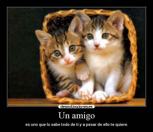Un amigo - es uno que lo sabe todo de ti y a pesar de ello te quiere.