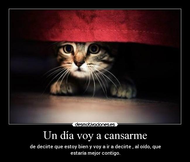 Un día voy a cansarme -