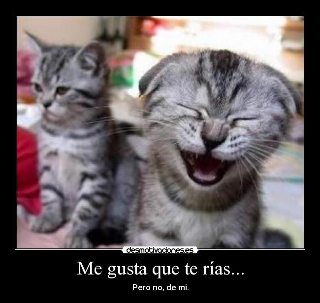 Me gusta que te rías... - Pero no, de mi.