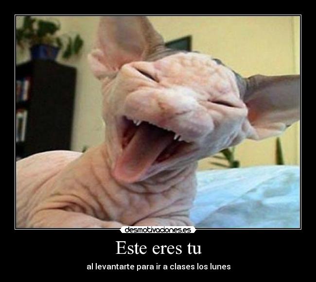 Este eres tu - al levantarte para ir a clases los lunes