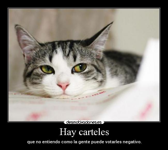 Hay carteles -