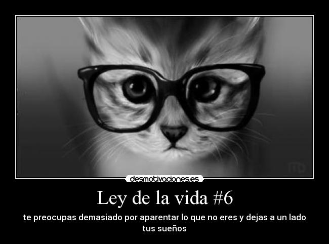 Ley de la vida #6 -