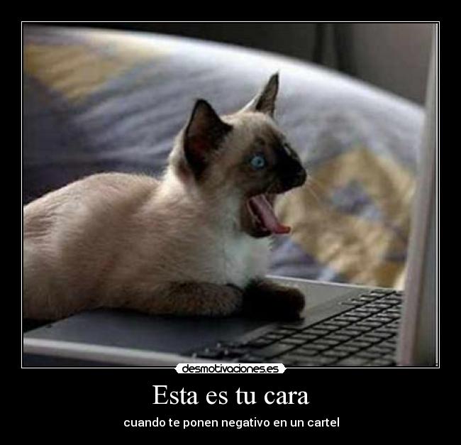 Esta es tu cara - cuando te ponen negativo en un cartel