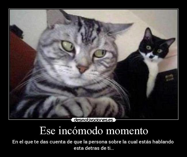 Ese incómodo momento - En el que te das cuenta de que la persona sobre la cual estás hablando
esta detras de ti...