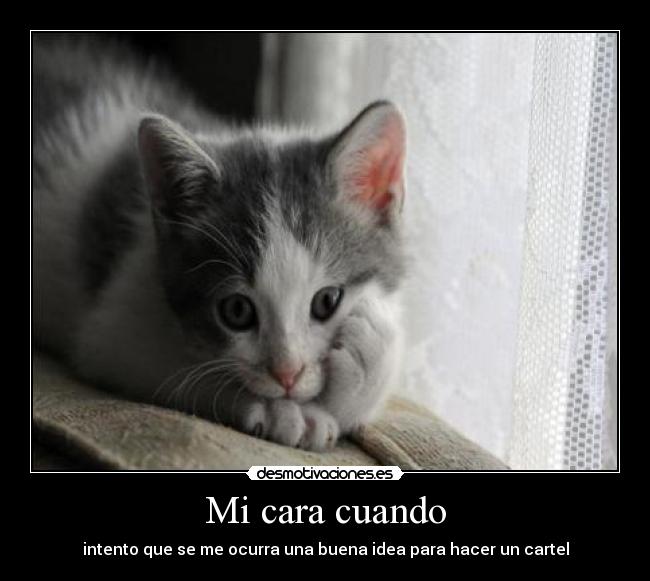 Mi cara cuando - intento que se me ocurra una buena idea para hacer un cartel