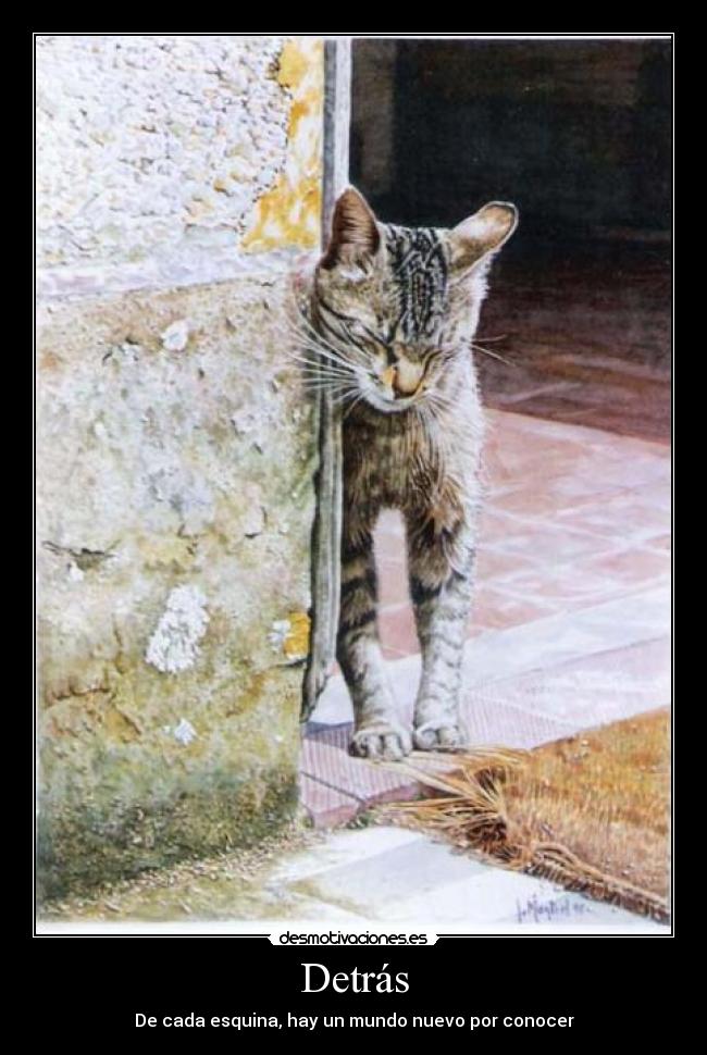 Detrás - De cada esquina, hay un mundo nuevo por conocer