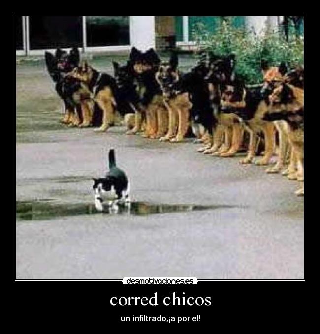 corred chicos - 