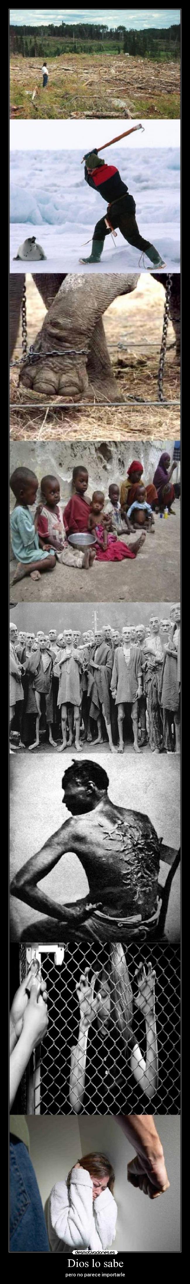 Dios lo sabe - pero no parece importarle