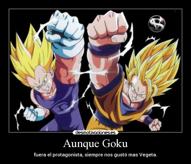 Aunque Goku - fuera el protagonista, siempre nos gustó mas Vegeta.