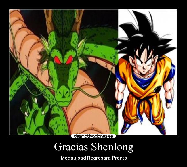 Gracias Shenlong -