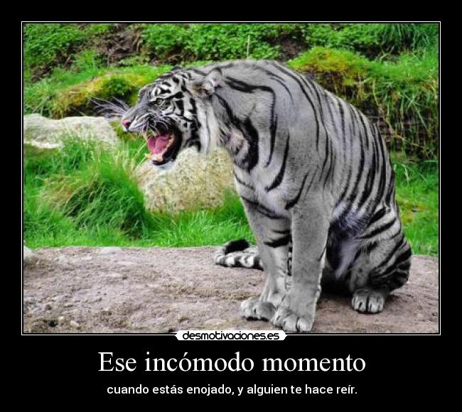 Ese incómodo momento - 