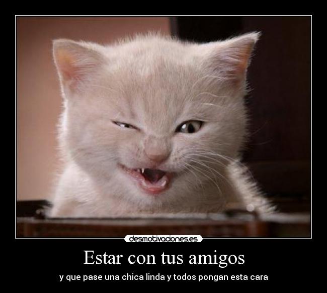 Estar con tus amigos - y que pase una chica linda y todos pongan esta cara