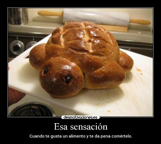 Esa sensación - Cuando te gusta un alimento y te da pena comértelo.