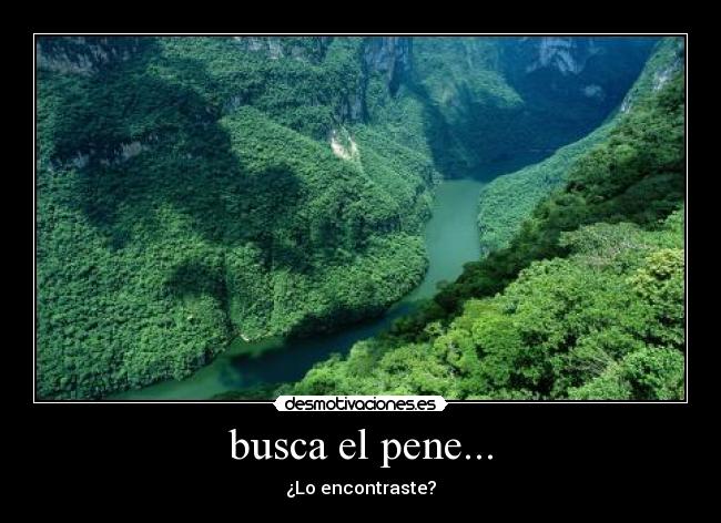 busca el pene... -