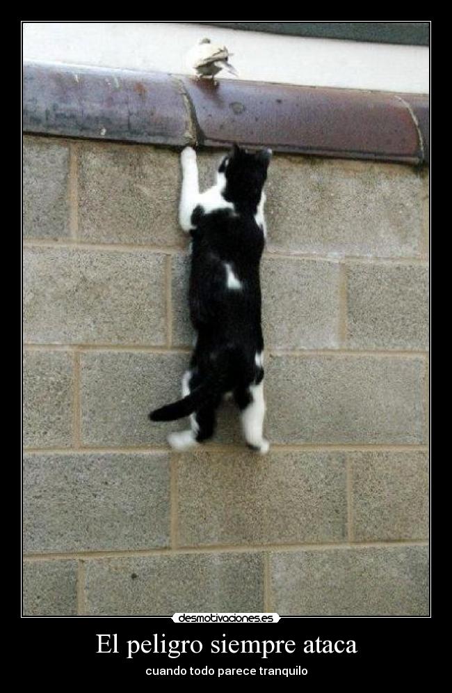 El peligro siempre ataca - cuando todo parece tranquilo