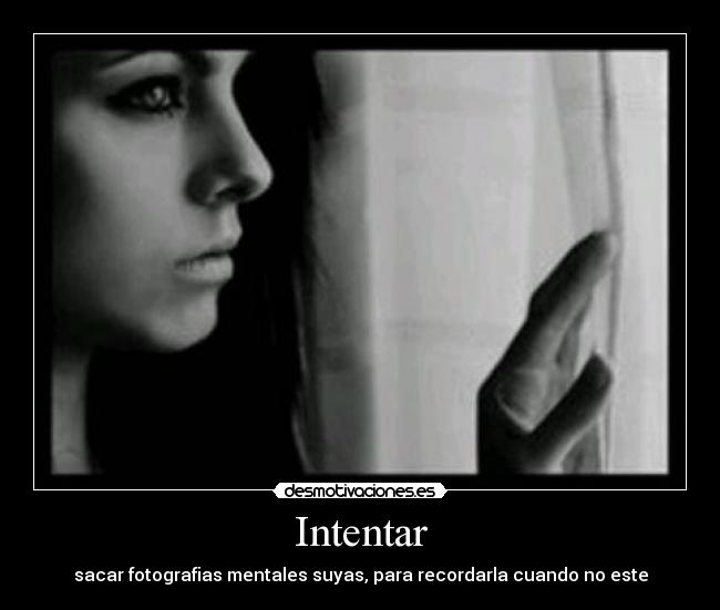 carteles aun conservo algunas lolask leones guino pabloponfe desmotivaciones