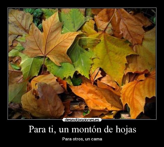 Para ti, un montón de hojas - 