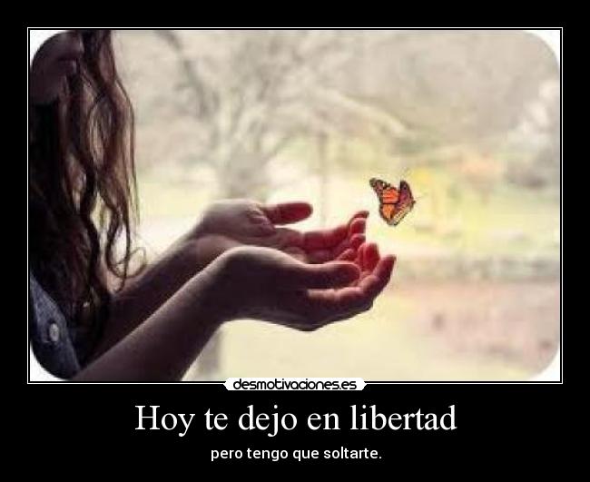 LIBERTAD HOY libertad hoy: