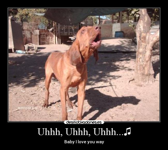 Uhhh, Uhhh, Uhhh...♫ -