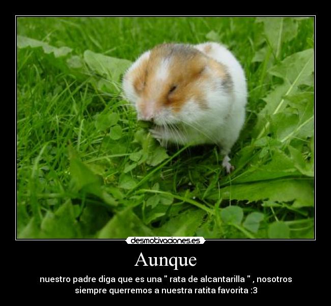 Aunque - nuestro padre diga que es una rata de alcantarilla , nosotros
siempre querremos a nuestra ratita favorita :3