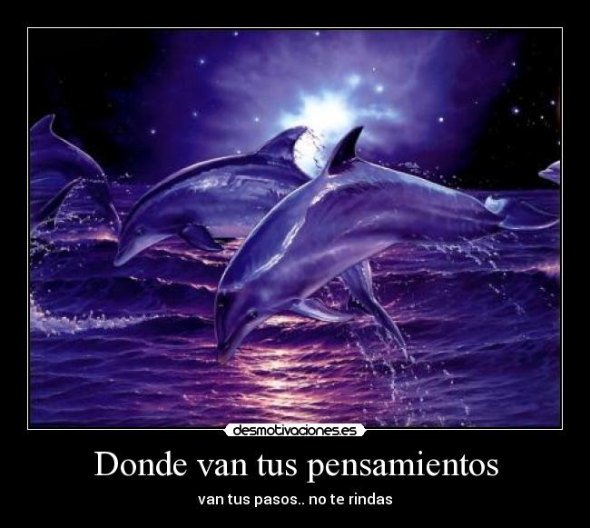 Donde van tus pensamientos - 