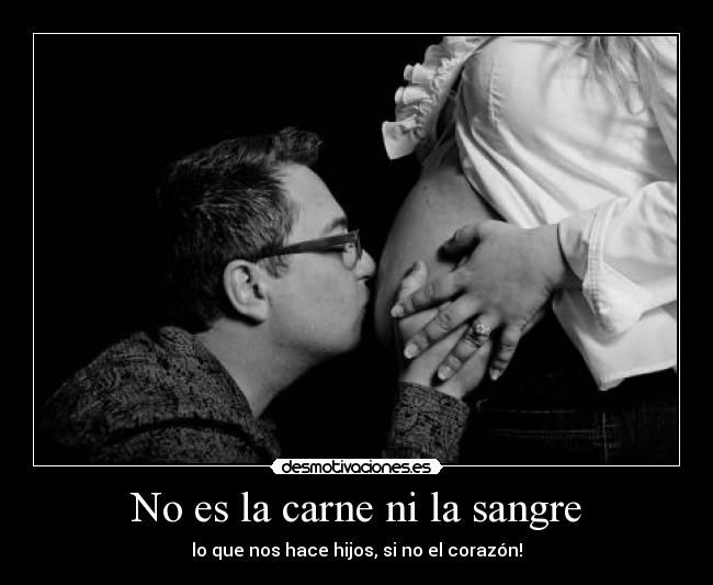 carteles ada sol desmotivaciones