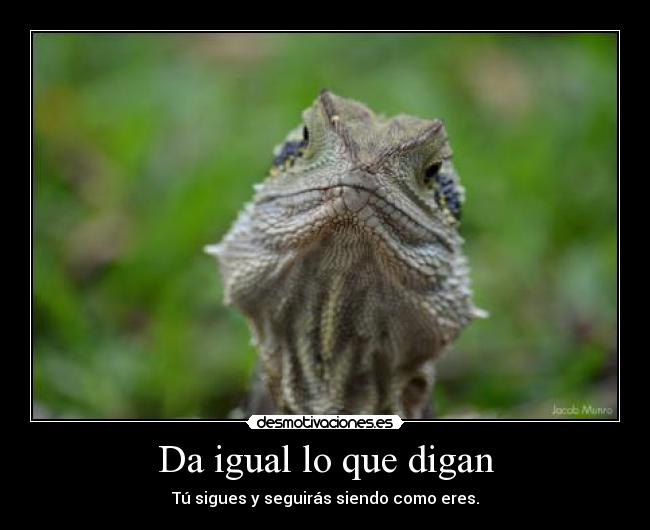 Da igual lo que digan -