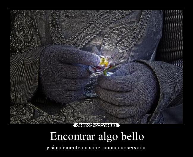 carteles mmm belleza pasa largo huye mi desmotivaciones