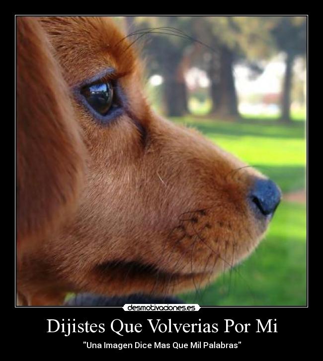 Dijistes Que Volverias Por Mi - Una Imagen Dice Mas Que Mil Palabras