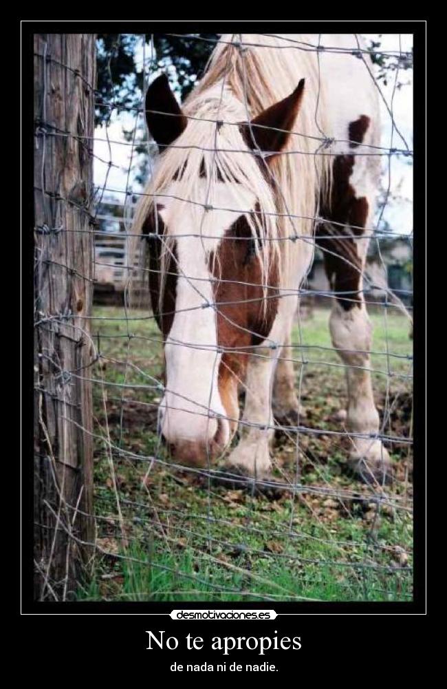 No te apropies - de nada ni de nadie.