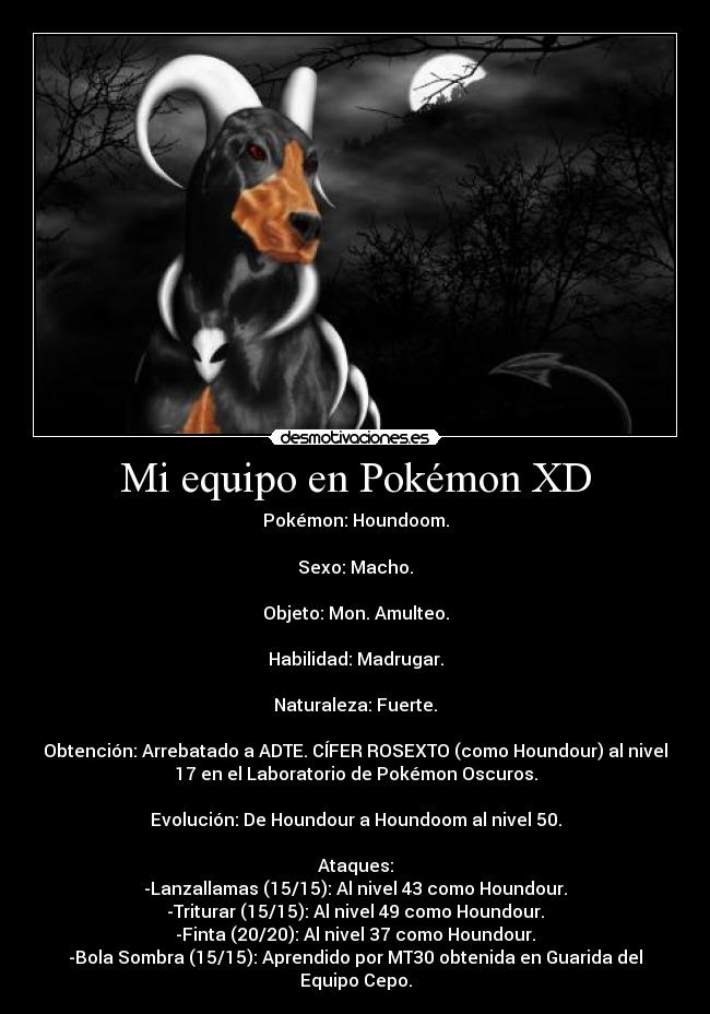 Mi equipo en Pokémon XD - 