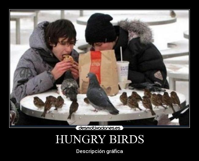 HUNGRY BIRDS -