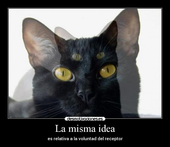 La misma idea - 