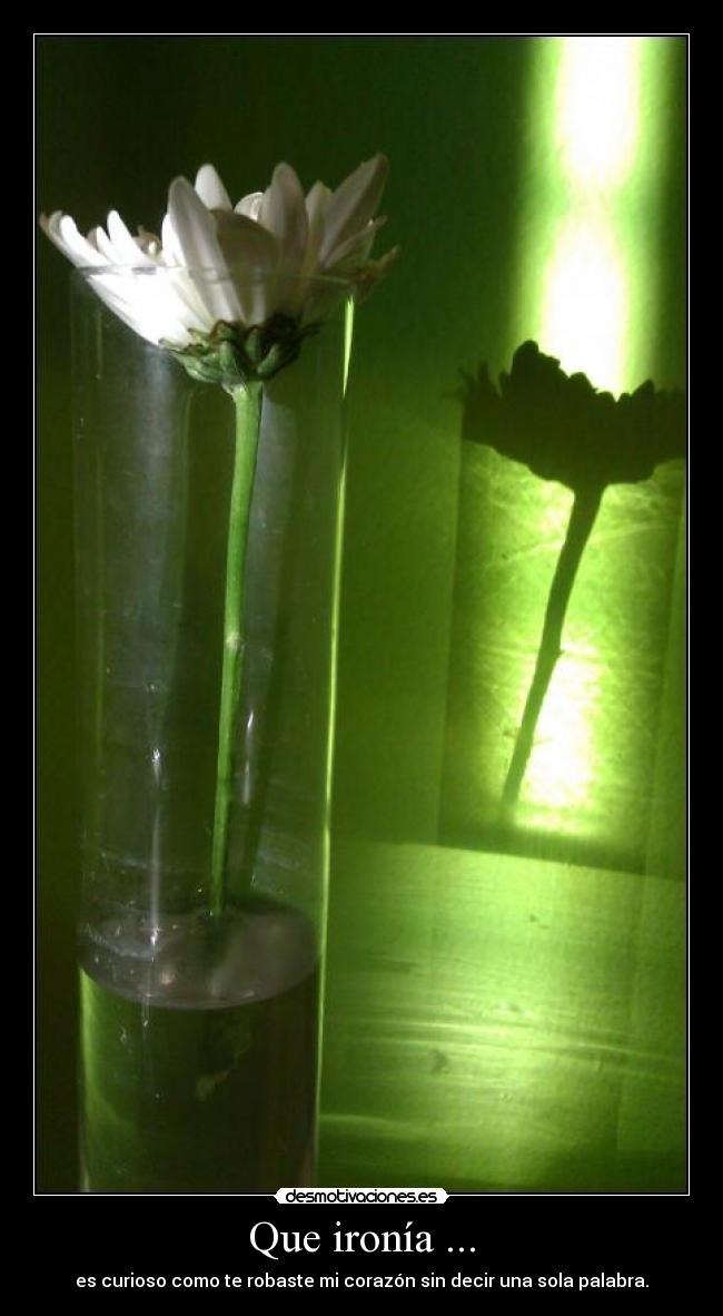 Que ironía ... - es curioso como te robaste mi corazón sin decir una sola palabra.