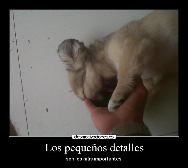 Los pequeños detalles - son los más importantes.