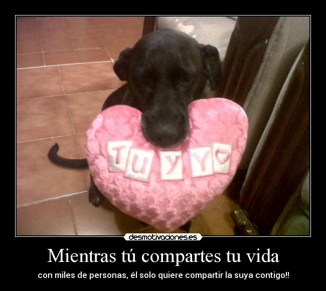 Mientras tú compartes tu vida -