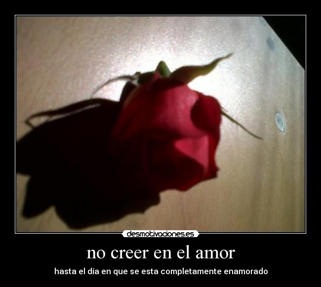 no creer en el amor -