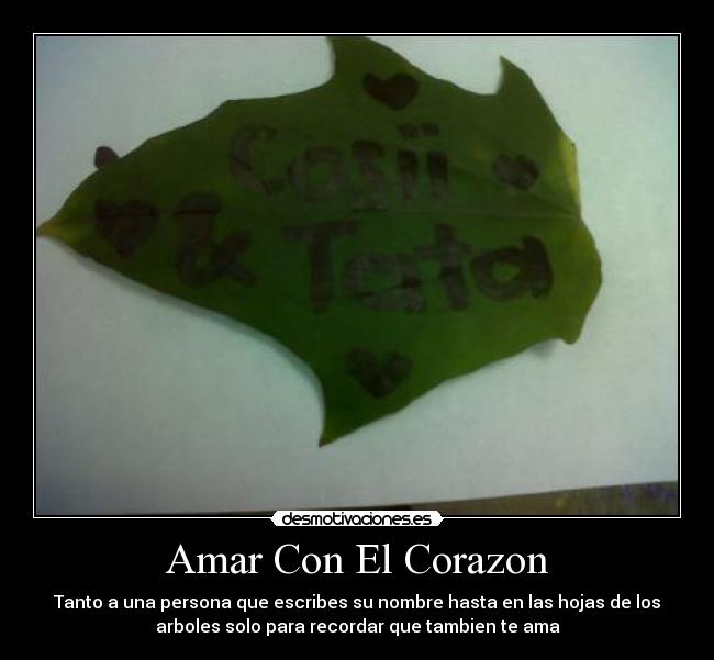 Amar Con El Corazon - 