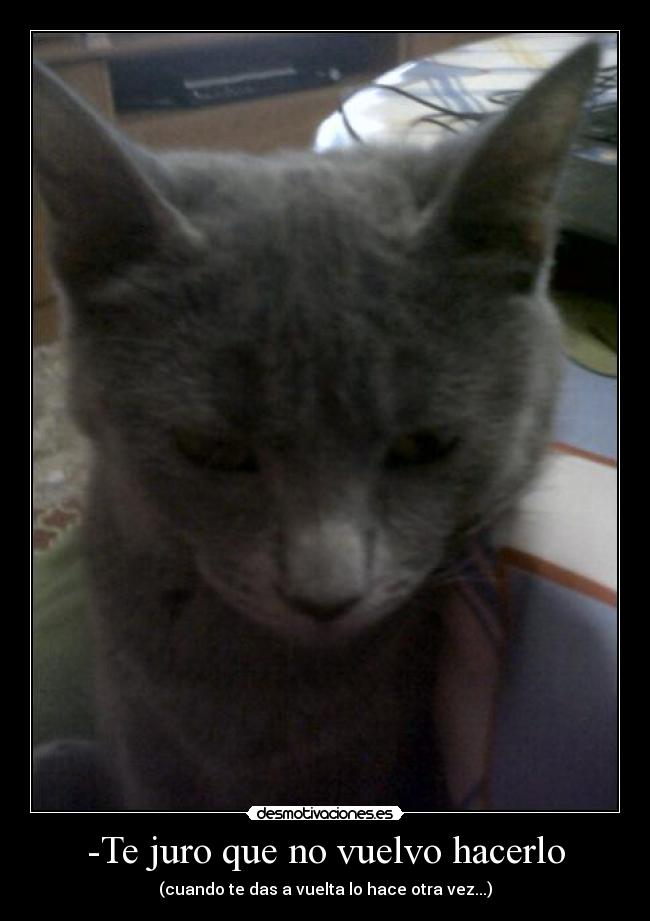 carteles vuelvo hacer desmotivaciones