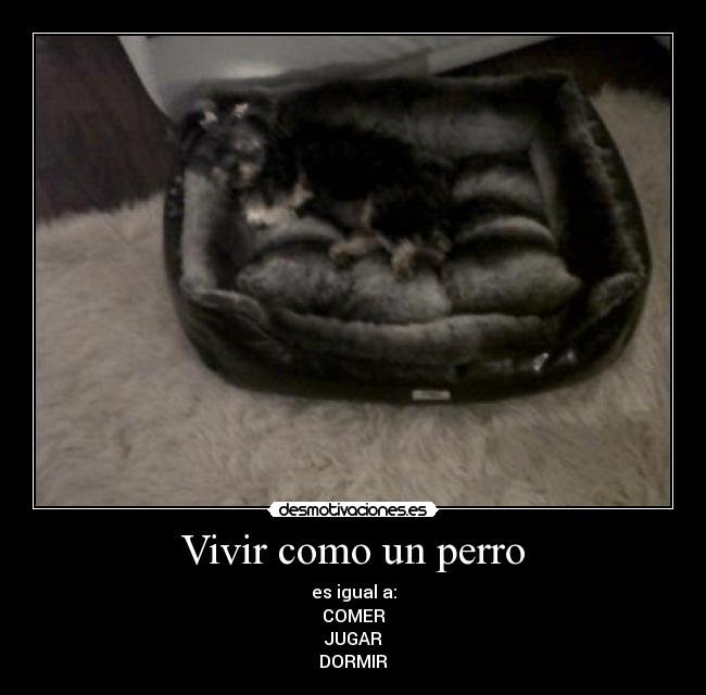 carteles carmen desmotivaciones