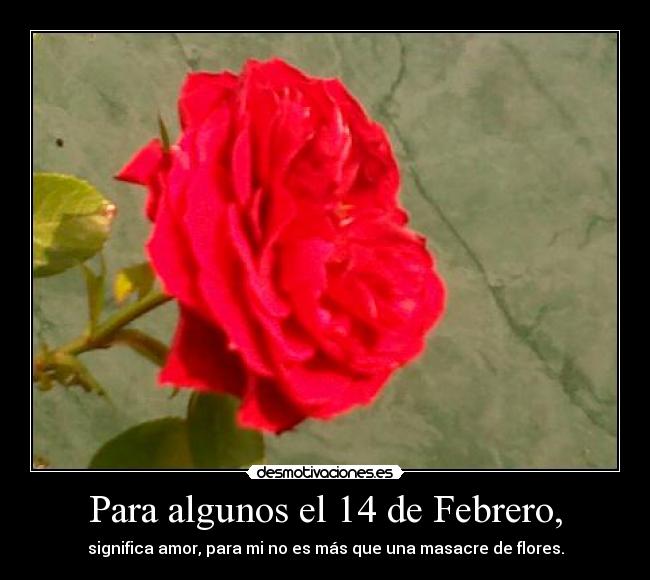 Para algunos el 14 de Febrero, - significa amor, para mi no es más que una masacre de flores.